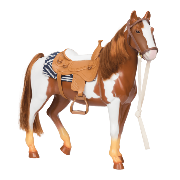 our generation appaloosa horse